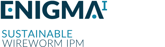 enigma i logo - sustainable wirewom IPM